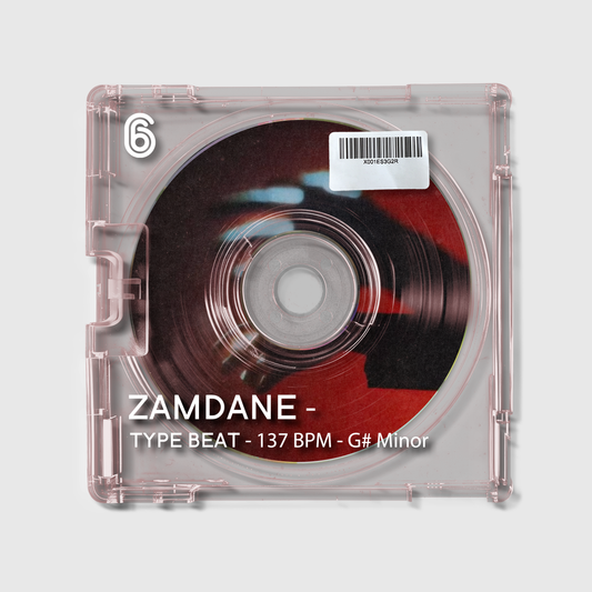 Zamdane Type Beat - Mes semblables